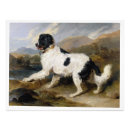 Search for newfoundlander art Vintage