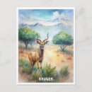 Search for kruger national park posters Travel