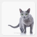 Search for russian blue cats stickers Cute