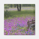 Search for bonnet magnets Wildflower