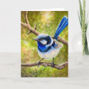 Search for wren cards Blue