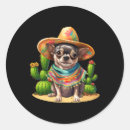 Search for mexican hat stickers Cactus