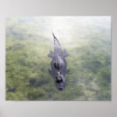 Search for big pine posters Florida