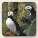 Search for puffin barware Pair