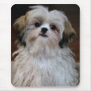 Search for shih tzu dog mousepads Dogs