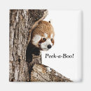 Search for peek magnets Cute