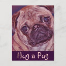 Search for puppy face postcards Pet