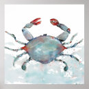 Search for blue crab posters Watercolor