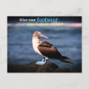 Search for blue birthday postcards Fun