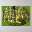 Search for oboe posters Reeds