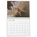 Search for 2026 calendars Summer