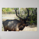 Search for mancave posters Country