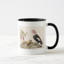 Search for condor mugs Animals