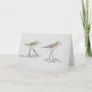 Search for bird cards Pretty