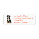 Search for bernese mountain dog return address labels Puppy