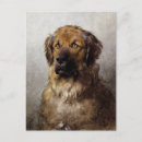 Search for dog painting postcards Brown