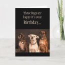 Search for funny boxer dog birthday cards Animal