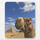 Search for cairo mousepads Giza