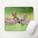 Search for cottontail mousepads Bunny