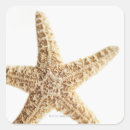 Search for sealife stickers Animal