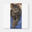 Search for sitter magnets Business