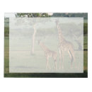 Search for giraffe notepads Tanzania