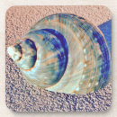 Search for beach hut coasters Seashell