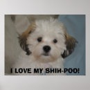 Search for poo posters Dog