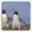 Search for flightless stickers Penguin