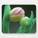 Search for nancy mousepads Green