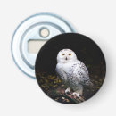 Search for open photography Bird