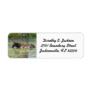 Search for lakes return address labels For her