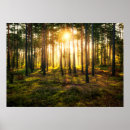 Search for beams posters Sunrise