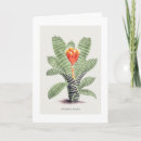 Search for lithograph cards Botanical