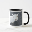 Search for high angle view mugs Japan