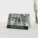 Search for and covers cards Winter