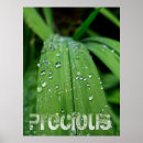 Search for water element posters Rain