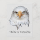 Search for vitality Animal