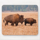 Search for grassland mousepads Brown