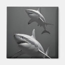 Search for shark magnets Nature