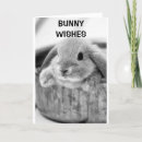 Search for adult easter cards Friend