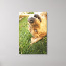 Search for bizarre canvas prints Surprise
