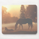 Search for digital horse mousepads Nature