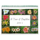 Search for daylily Nature
