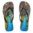 Search for peacock shoes Beautiful