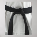 Search for black belt posters People