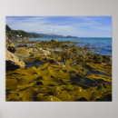 Search for islander posters South island