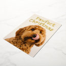 Search for funny turkey christmas cards Dog