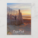 Search for cape cod beach Travel