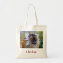 Search for lemur bags Wildlife